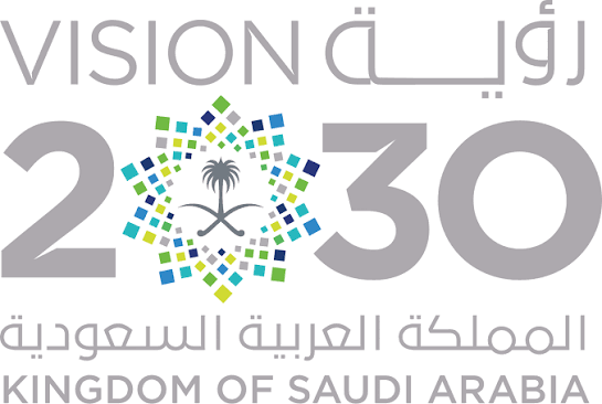 沙特“2030 愿景”（Vision 2030）